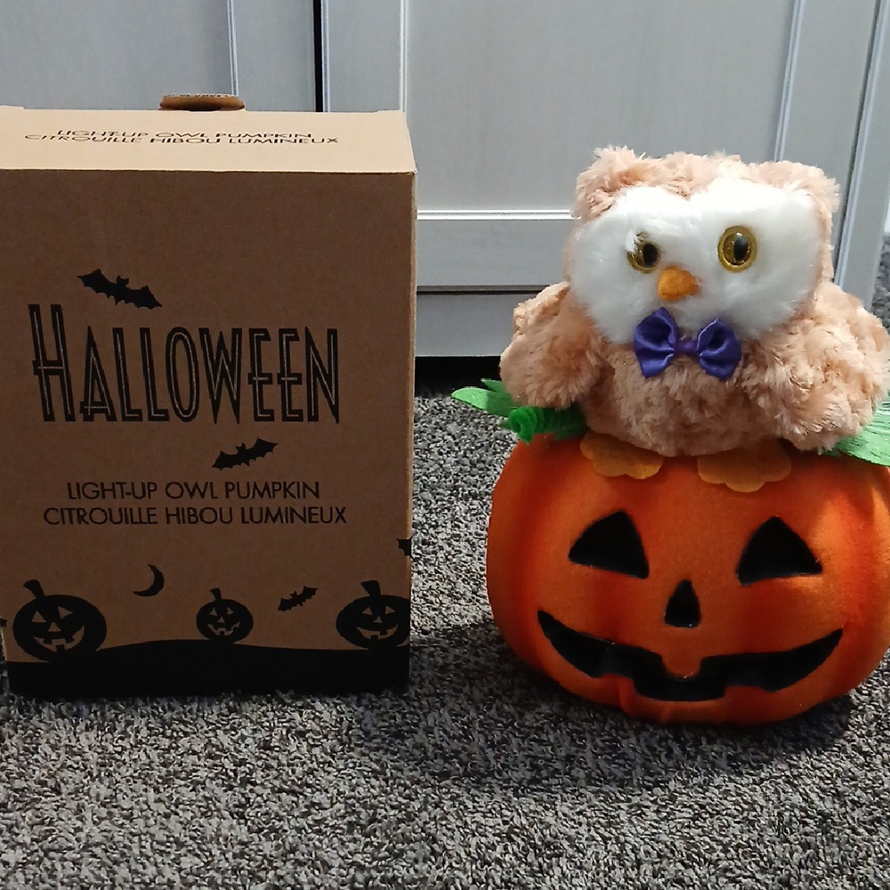 👻Avon Fibre Optic Halloween Light-Up Owl Pumpkin